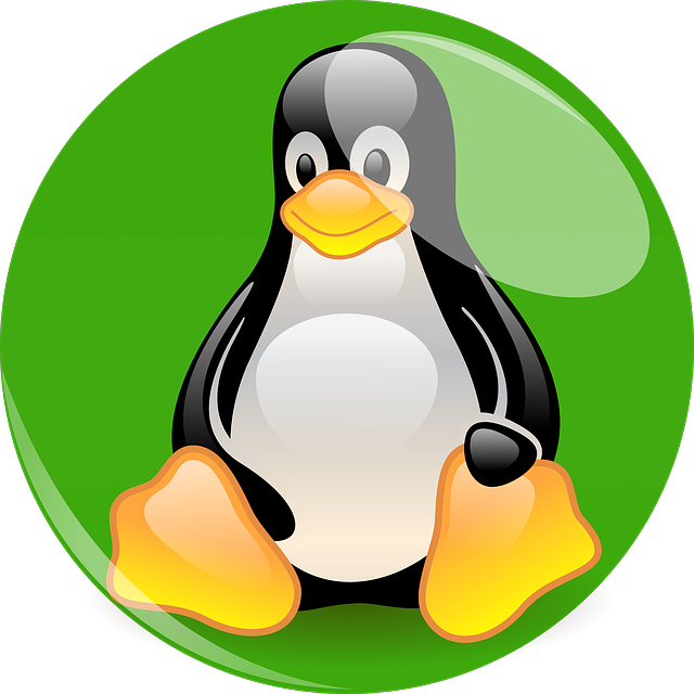 Comandos whereis, whatis e which no Linux