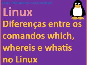 Diferença entre os comandos which whereis e whatis no Linux